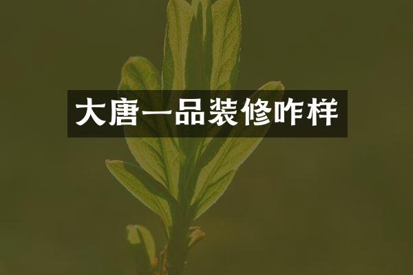 大唐一品装修咋样