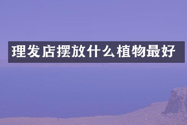 理发店摆放什么植物最好