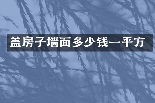 盖房子墙面多少钱一平方