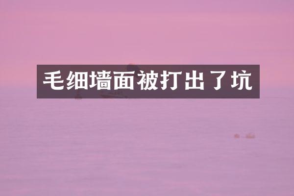 毛细墙面被打出了坑