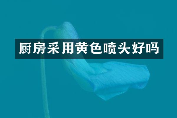 厨房采用黄色喷头好吗