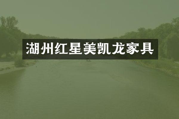 湖州红星美凯龙家具