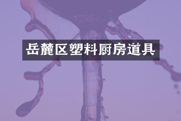 岳麓区塑料厨房道具
