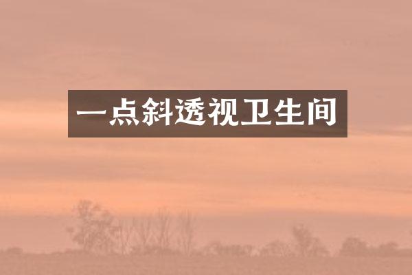 一点斜透视卫生间