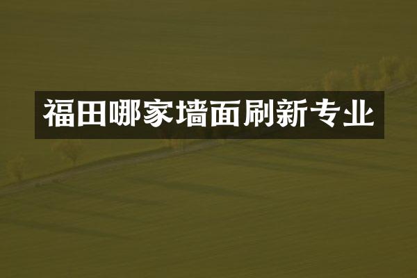 福田哪家墙面刷新专业