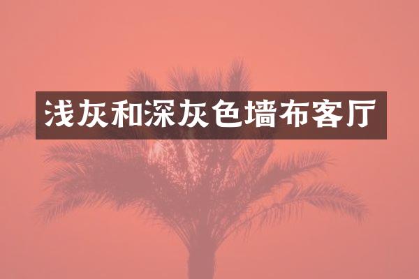 浅灰和深灰色墙布客厅