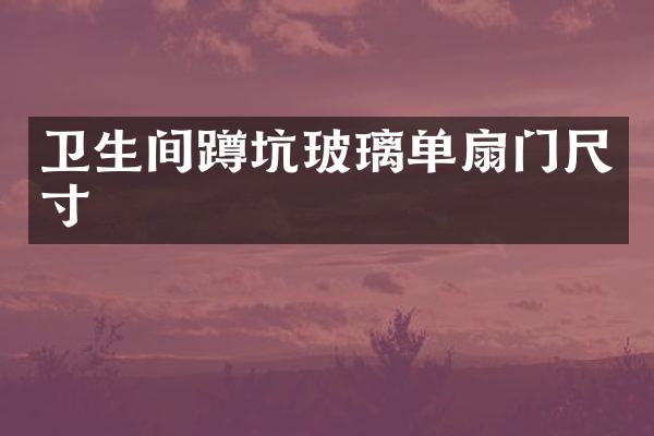 卫生间蹲坑玻璃单扇门尺寸
