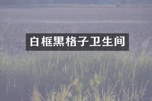 白框黑格子卫生间