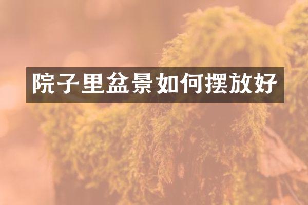 院子里盆景如何摆放好