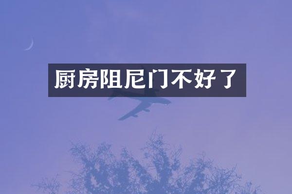 厨房阻尼门不好了