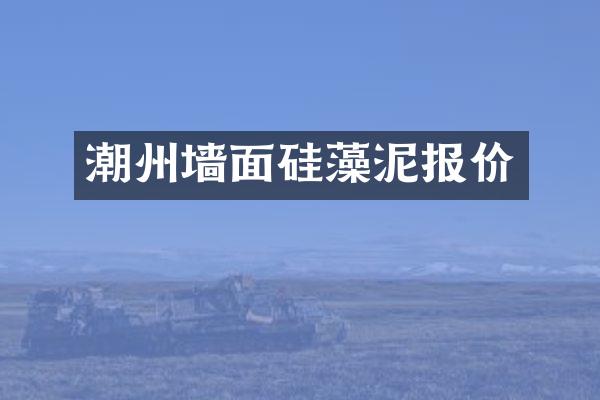 潮州墙面硅藻泥报价