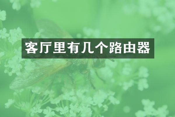 客厅里有几个路由器