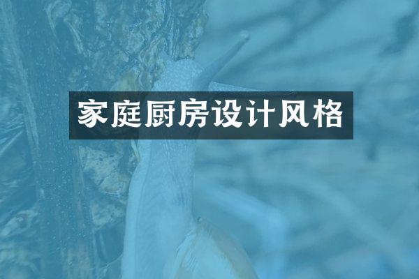 家庭厨房设计风格