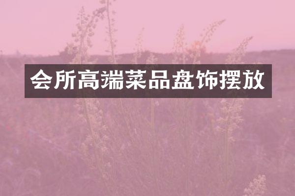 会所高端菜品盘饰摆放