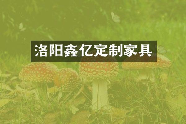 洛阳鑫亿定制家具