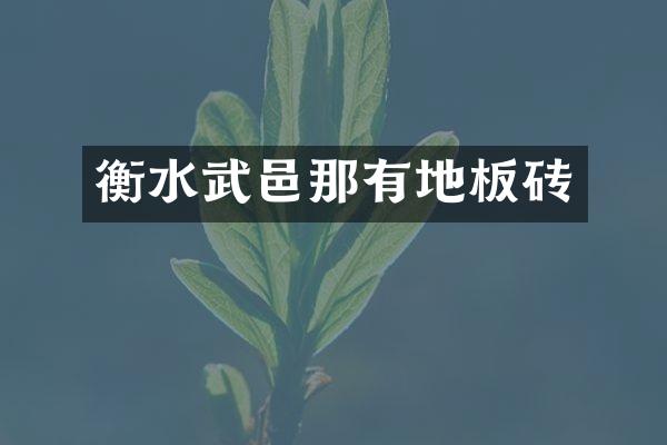 衡水武邑那有地板砖
