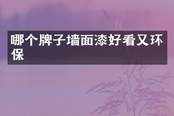 哪个牌子墙面漆好看又环保
