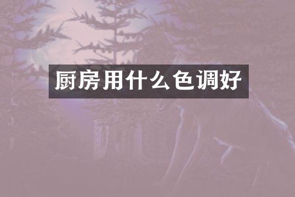 厨房用什么色调好