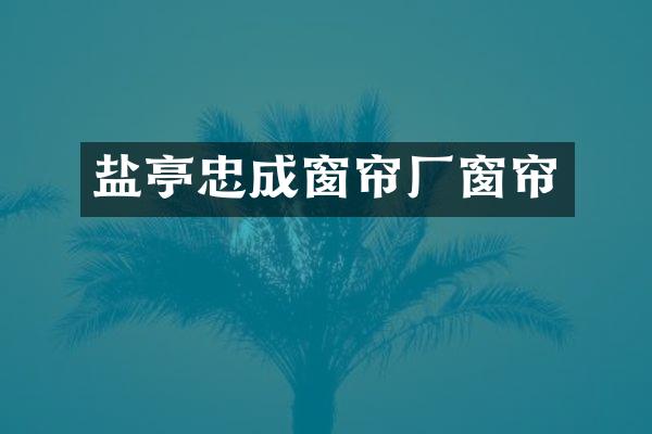 盐亭忠成窗帘厂窗帘