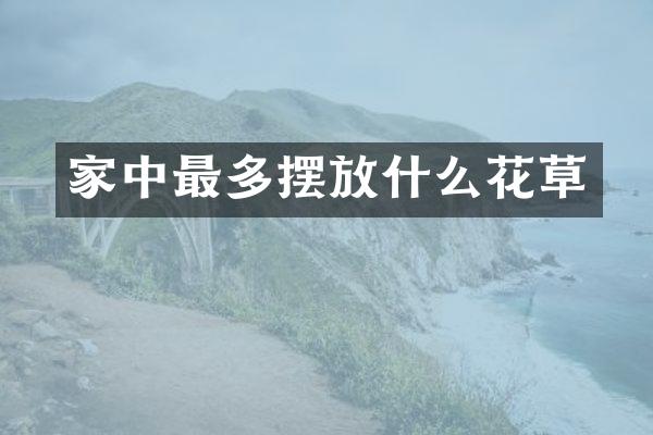 家中最多摆放什么花草