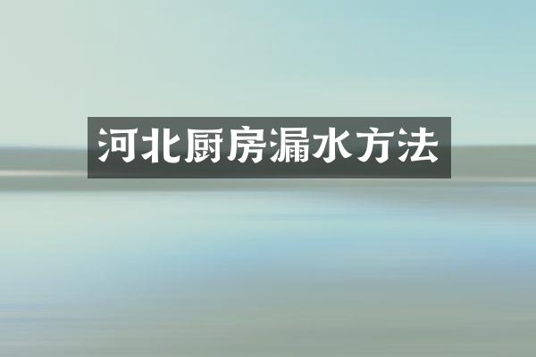 河北厨房漏水方法