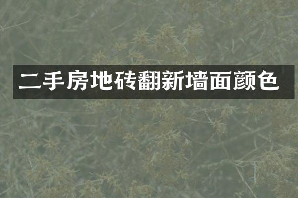 二手房地砖翻新墙面颜色