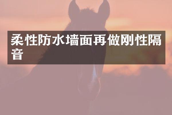 柔性防水墙面再做刚性隔音