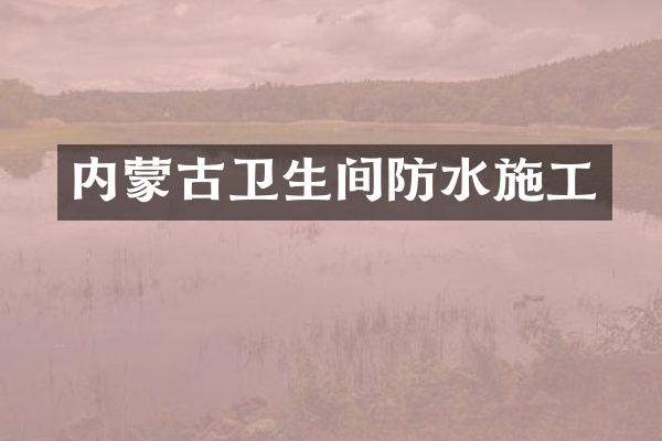 内蒙古卫生间防水施工