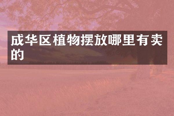 成华区植物摆放哪里有卖的
