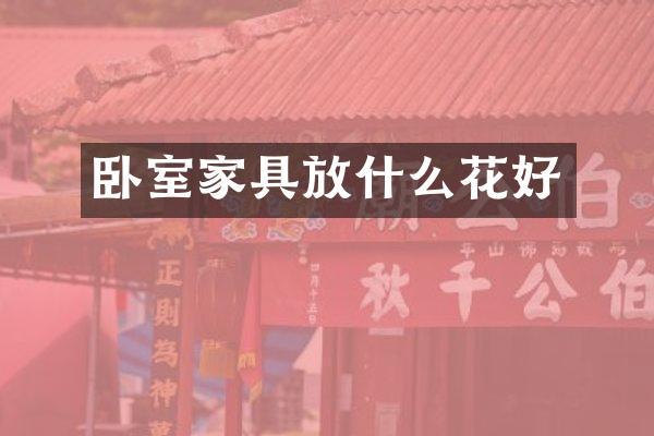 卧室家具放什么花好