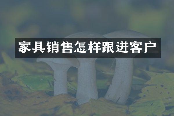 家具销售怎样跟进客户