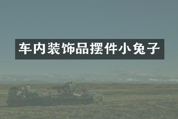 车内装饰品摆件小兔子