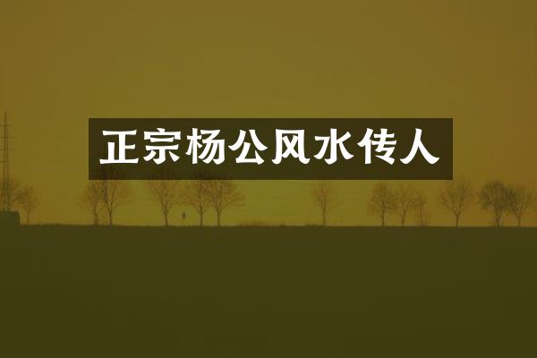 正宗杨公风水传人