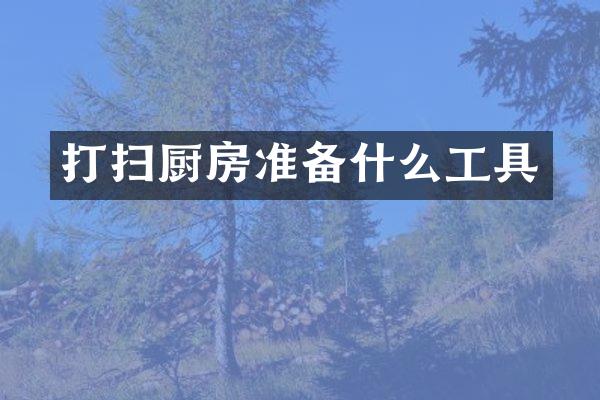 打扫厨房准备什么工具