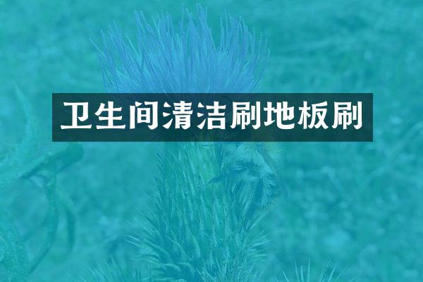 卫生间清洁刷地板刷