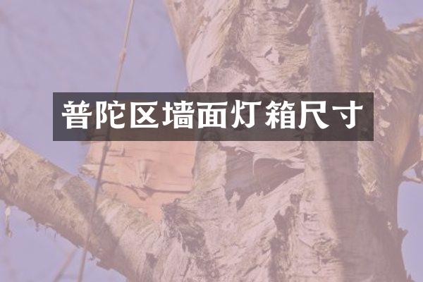 普陀区墙面灯箱尺寸