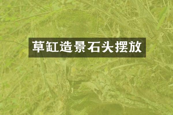 草缸造景石头摆放