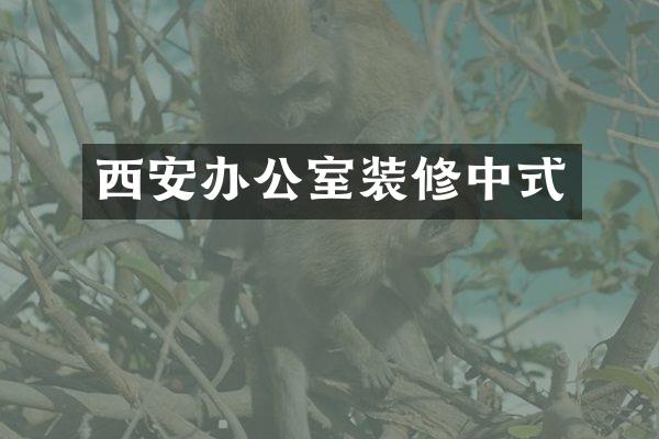 西安办公室装修中式