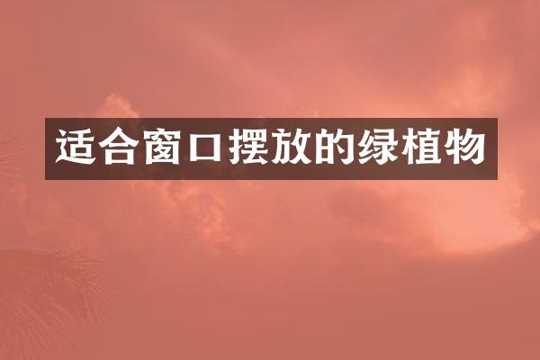 适合窗口摆放的绿植物