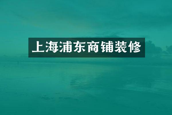 上海浦东商铺装修