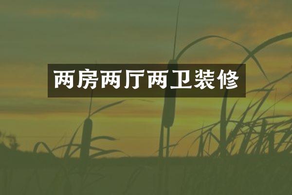 两房两厅两卫装修