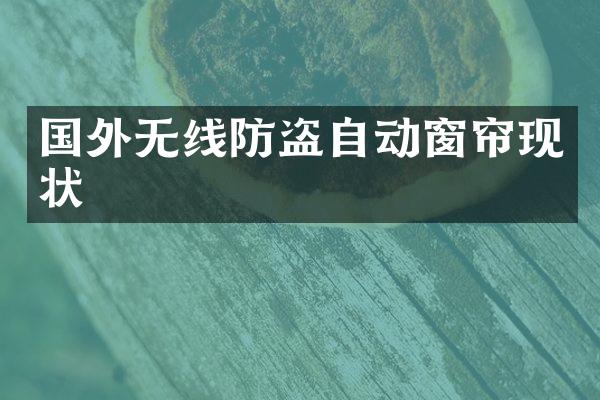 国外无线防盗自动窗帘现状