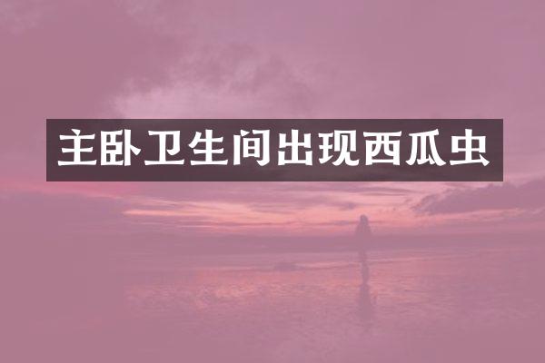 主卧卫生间出现西瓜虫