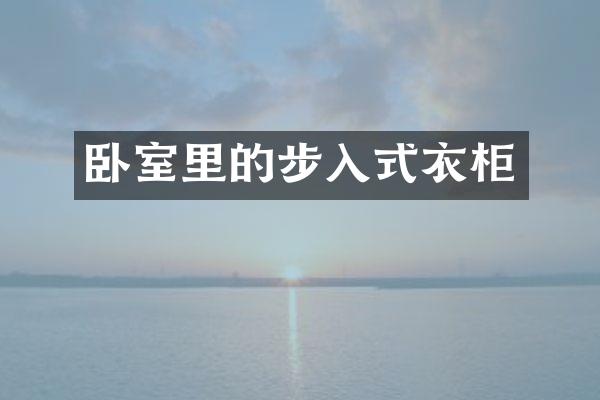 卧室里的步入式衣柜