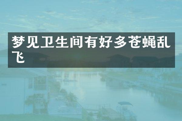 梦见卫生间有好多苍蝇乱飞