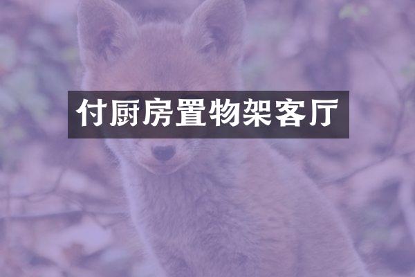 付厨房置物架客厅