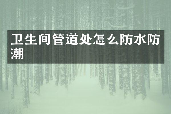 卫生间管道处怎么防水防潮