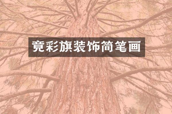竟彩旗装饰简笔画