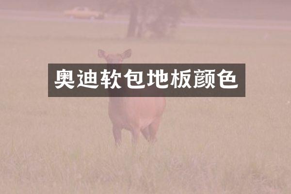 奥迪软包地板颜色
