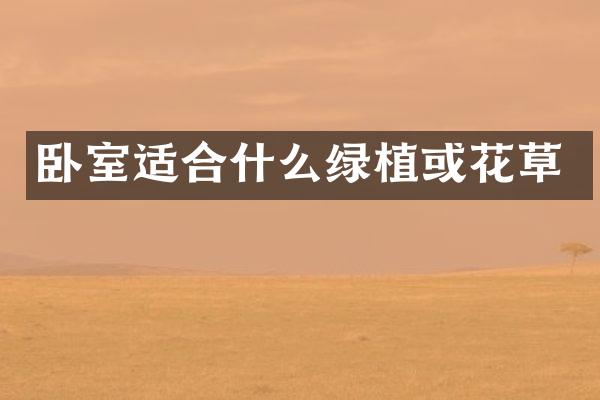 卧室适合什么绿植或花草
